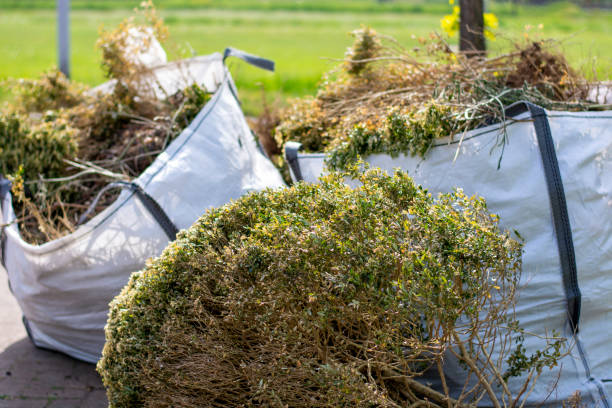 Demolition Debris Removal in Csar Chvez, TX